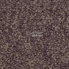 Ковролин Radici Trotter Moka 9492 фото 1 | FLOORDEALER